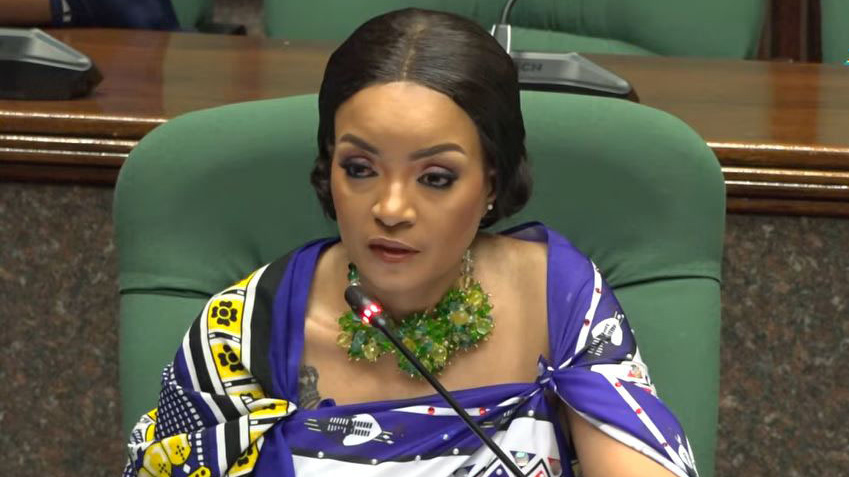  Under Secretary Hlobsile Dlamini speaks after she was asked to provide responses to the Public Accounts Committee. (Pics: Ntombi Mhlongo)